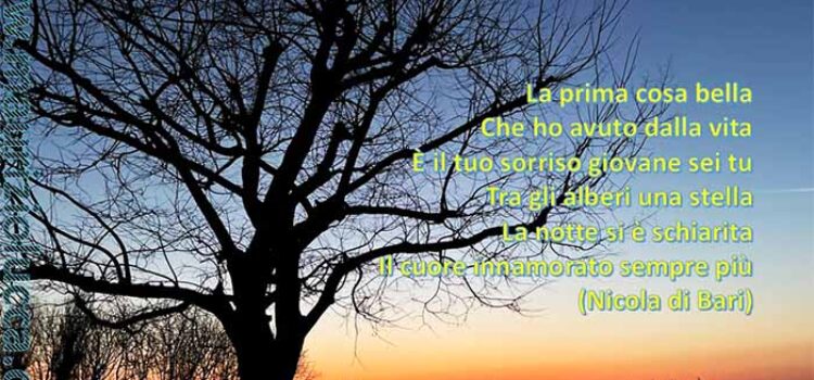 Niente accesso agli atti di un affidamento diretto da parte del terzo